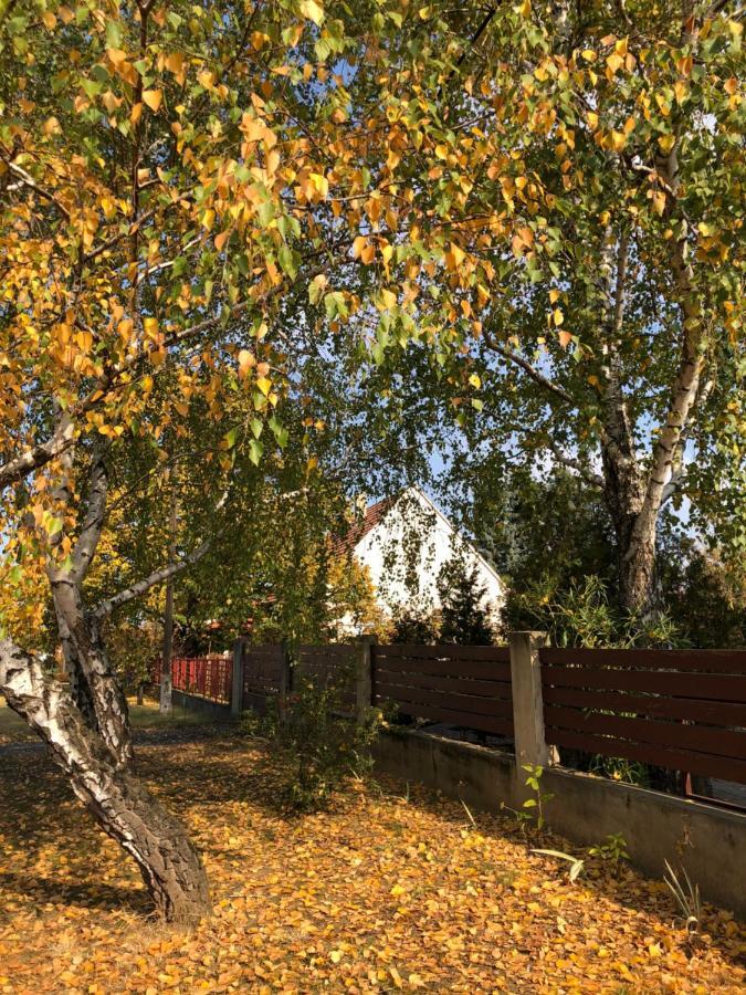 Veranda Apartman Nyíregyháza Eksteriør billede
